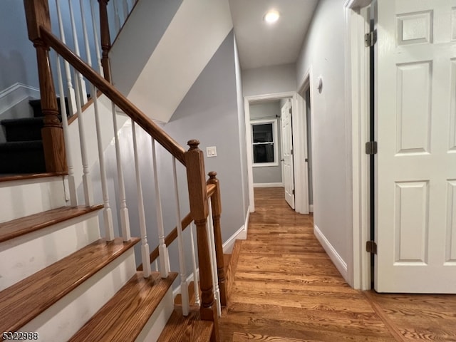 staircase featuring wood-type flooring