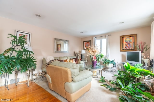 living room featuring hardwood / wood-style floors