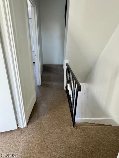 stairs featuring carpet flooring