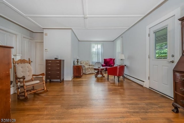 living area featuring wood finished floors, crown molding, and a baseboard radiator