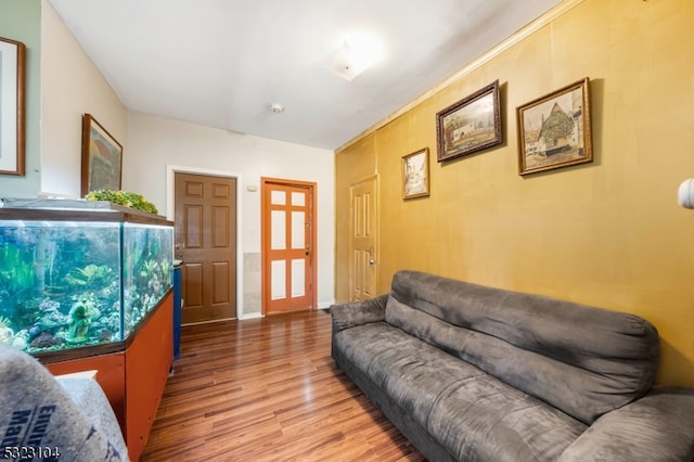 living room with wood-type flooring