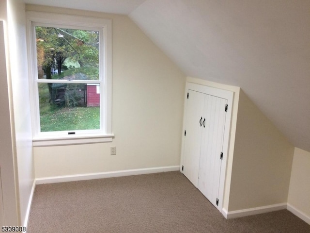 additional living space with carpet flooring and lofted ceiling