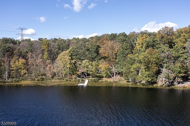 property view of water