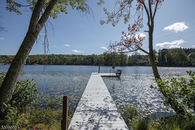 dock area with a water view