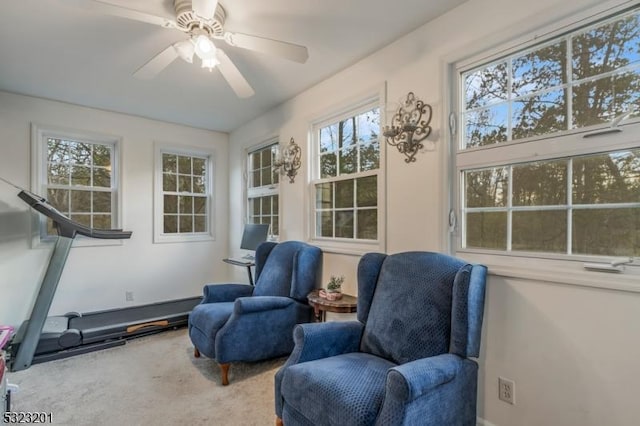 sitting room with ceiling fan and carpet