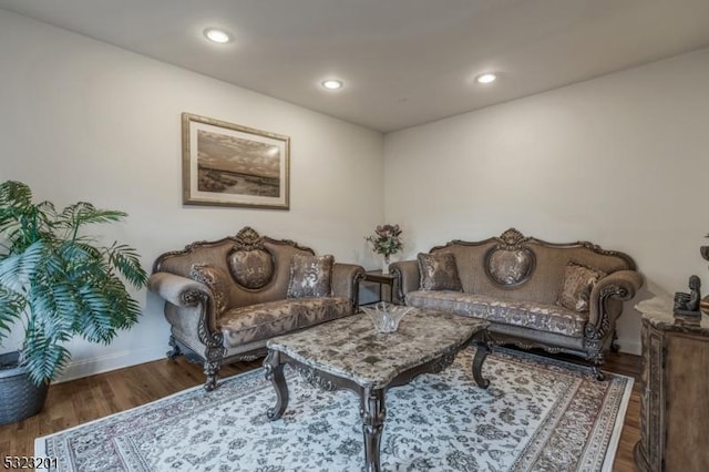 living room featuring dark hardwood / wood-style flooring