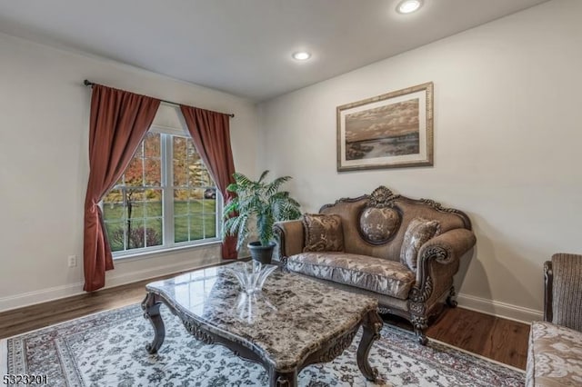 living area featuring hardwood / wood-style floors