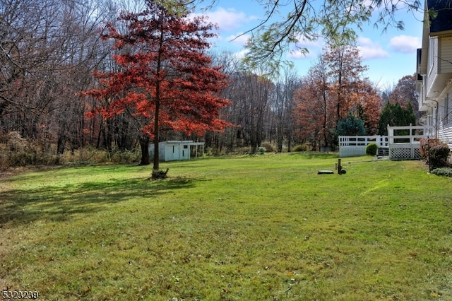 view of yard featuring a storage unit