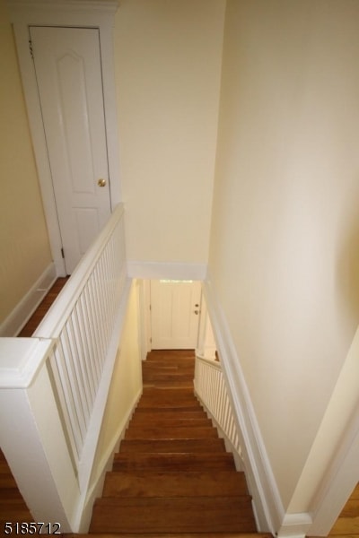 staircase with hardwood / wood-style flooring