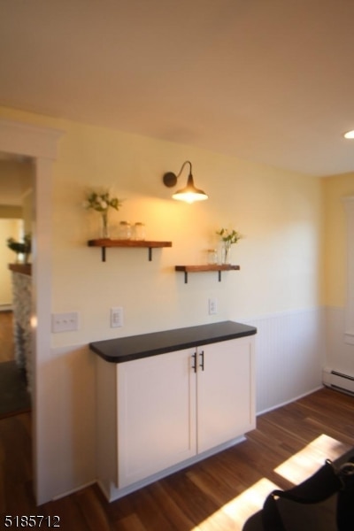 kitchen with dark hardwood / wood-style flooring, white cabinetry, and baseboard heating