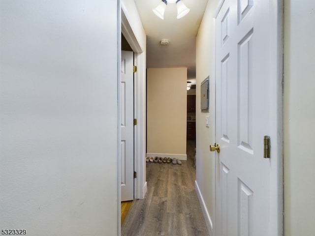 hall with hardwood / wood-style flooring