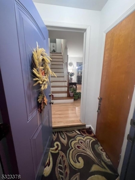 doorway to outside featuring dark wood-type flooring