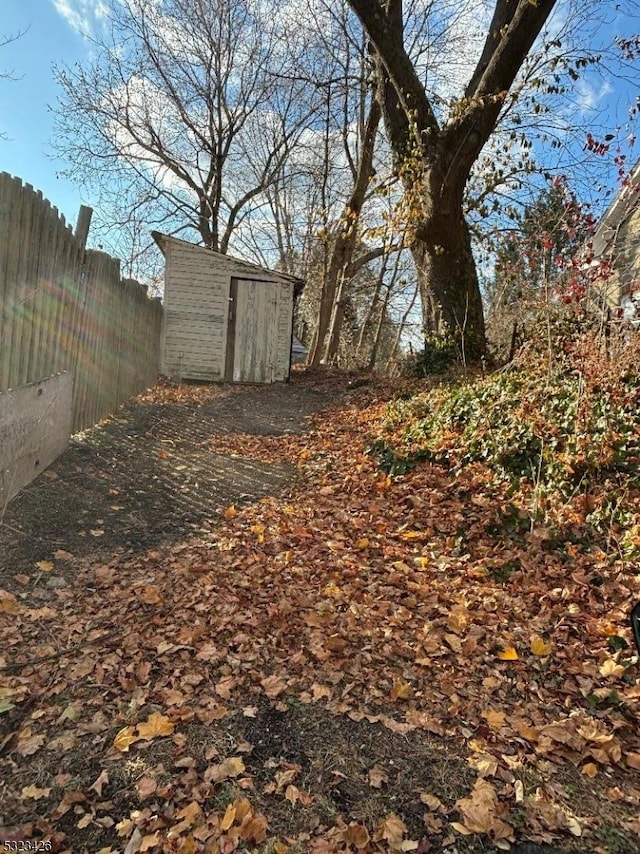 view of yard featuring a shed