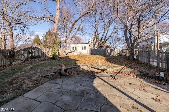 view of yard featuring a patio