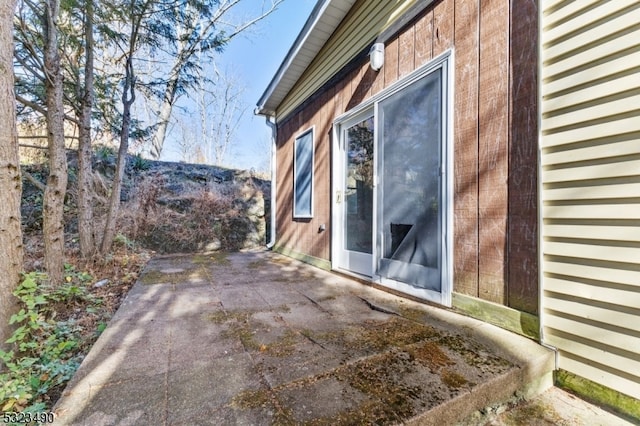 view of home's exterior featuring a patio