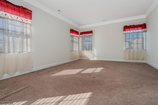 spare room with carpet and ornamental molding