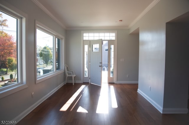 foyer featuring dark hardwood / wood-style floors and crown molding