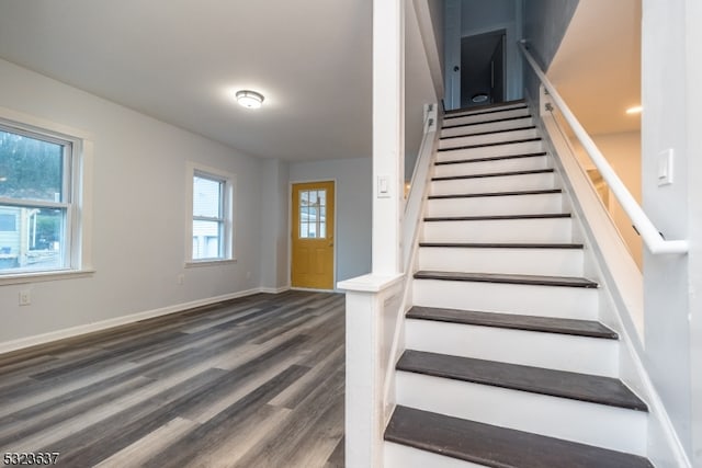 staircase with hardwood / wood-style floors