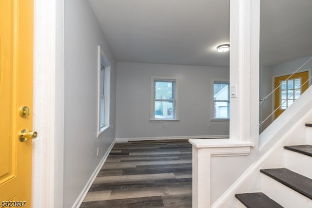 foyer entrance with a wealth of natural light and dark hardwood / wood-style flooring