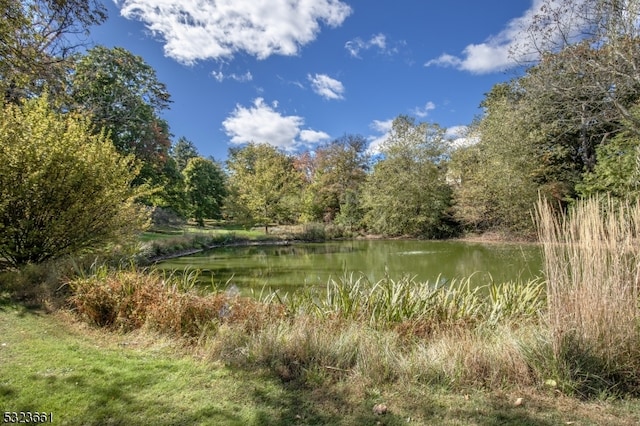 water view