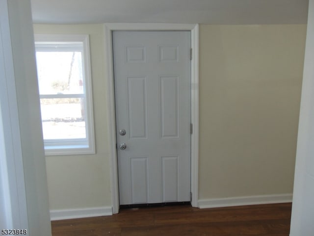 entryway featuring plenty of natural light and dark hardwood / wood-style flooring