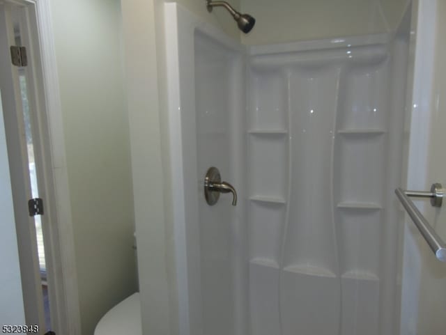 bathroom with toilet and a shower