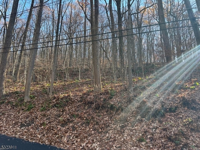 120 Millbrook Rd, Franklin Twp NJ, 07882 land for sale