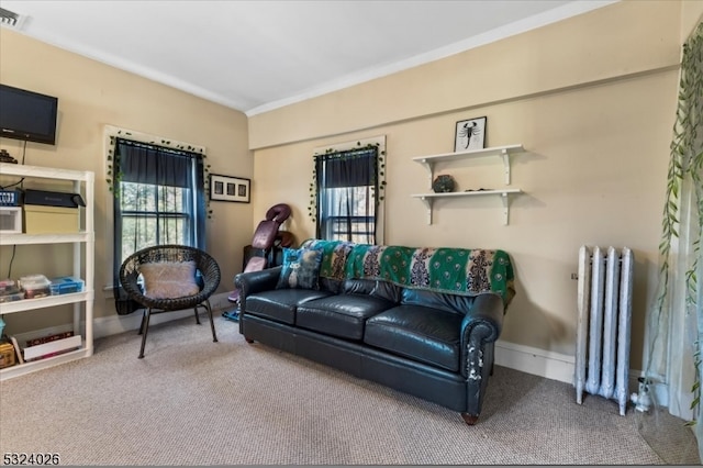 living room featuring carpet floors and radiator