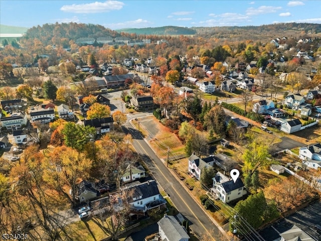 bird's eye view