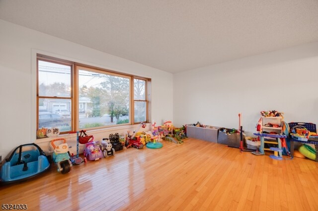 recreation room featuring hardwood / wood-style flooring