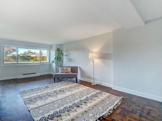 living area featuring dark parquet floors and a baseboard radiator