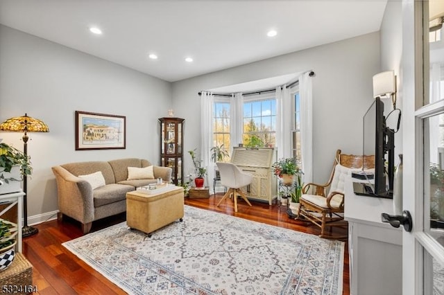 sitting room featuring dark wood-type flooring