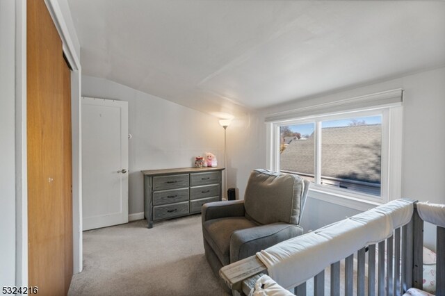 bedroom featuring light colored carpet, vaulted ceiling, and a closet