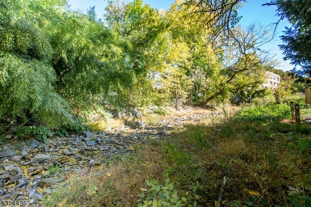 view of landscape