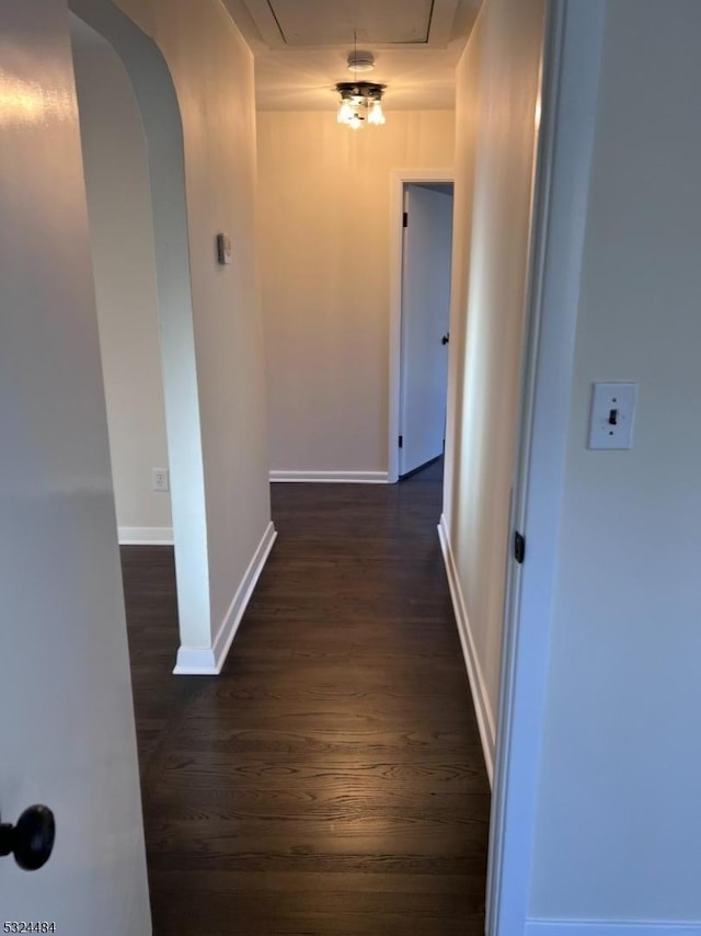 hall featuring dark hardwood / wood-style floors