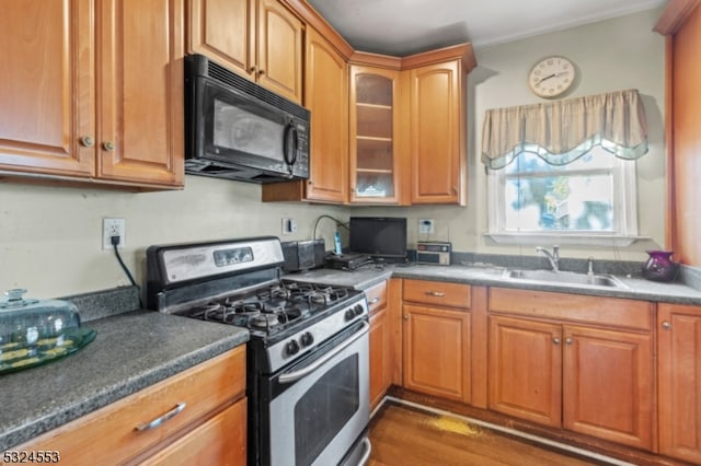 kitchen with hardwood / wood-style floors, sink, and gas range