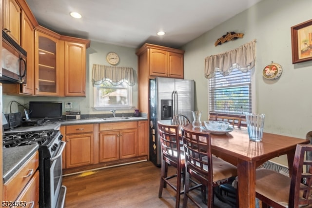 kitchen with dark hardwood / wood-style flooring, stainless steel appliances, a wealth of natural light, and sink