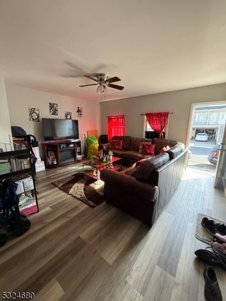 living room with ceiling fan and wood-type flooring