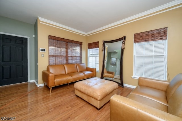 living room with hardwood / wood-style floors and crown molding