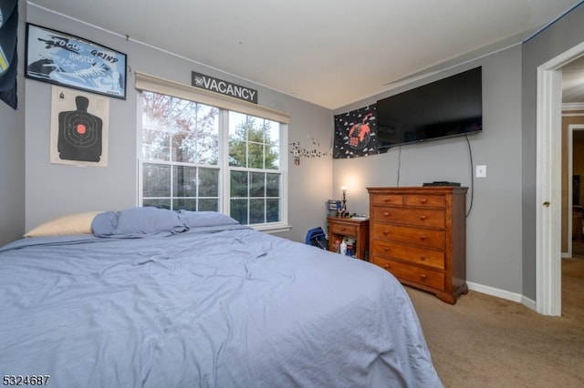 bedroom featuring carpet flooring