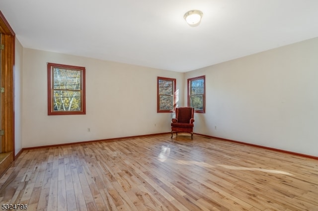 spare room featuring light hardwood / wood-style flooring and a wealth of natural light