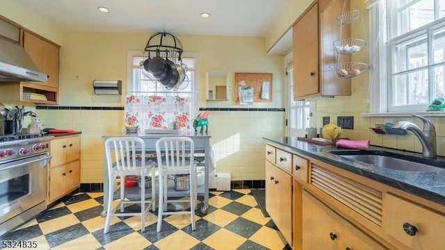 kitchen with dark floors, stainless steel range, dark countertops, and a sink