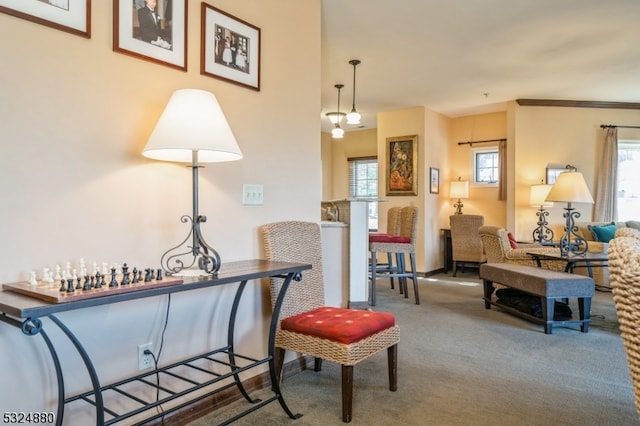 living area featuring carpet flooring and crown molding