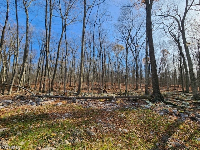 4 High Point Dr, Montague Twp NJ, 07827 land for sale