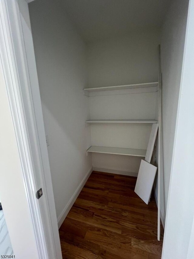 spacious closet with dark hardwood / wood-style floors