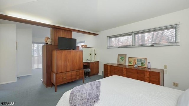 bedroom featuring dark carpet and multiple windows