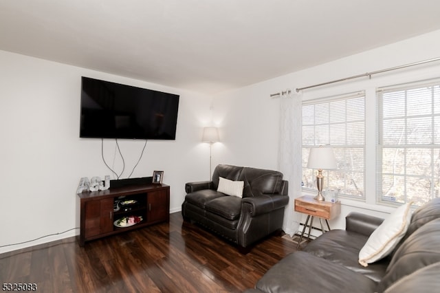 living room with dark hardwood / wood-style floors