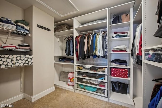 walk in closet featuring carpet floors