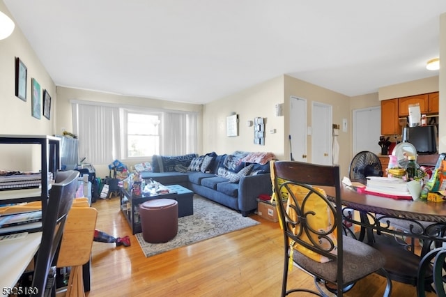 living room featuring light wood-type flooring