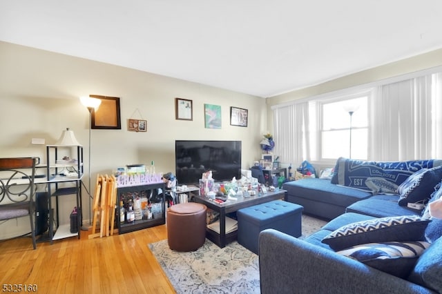 living room featuring wood-type flooring